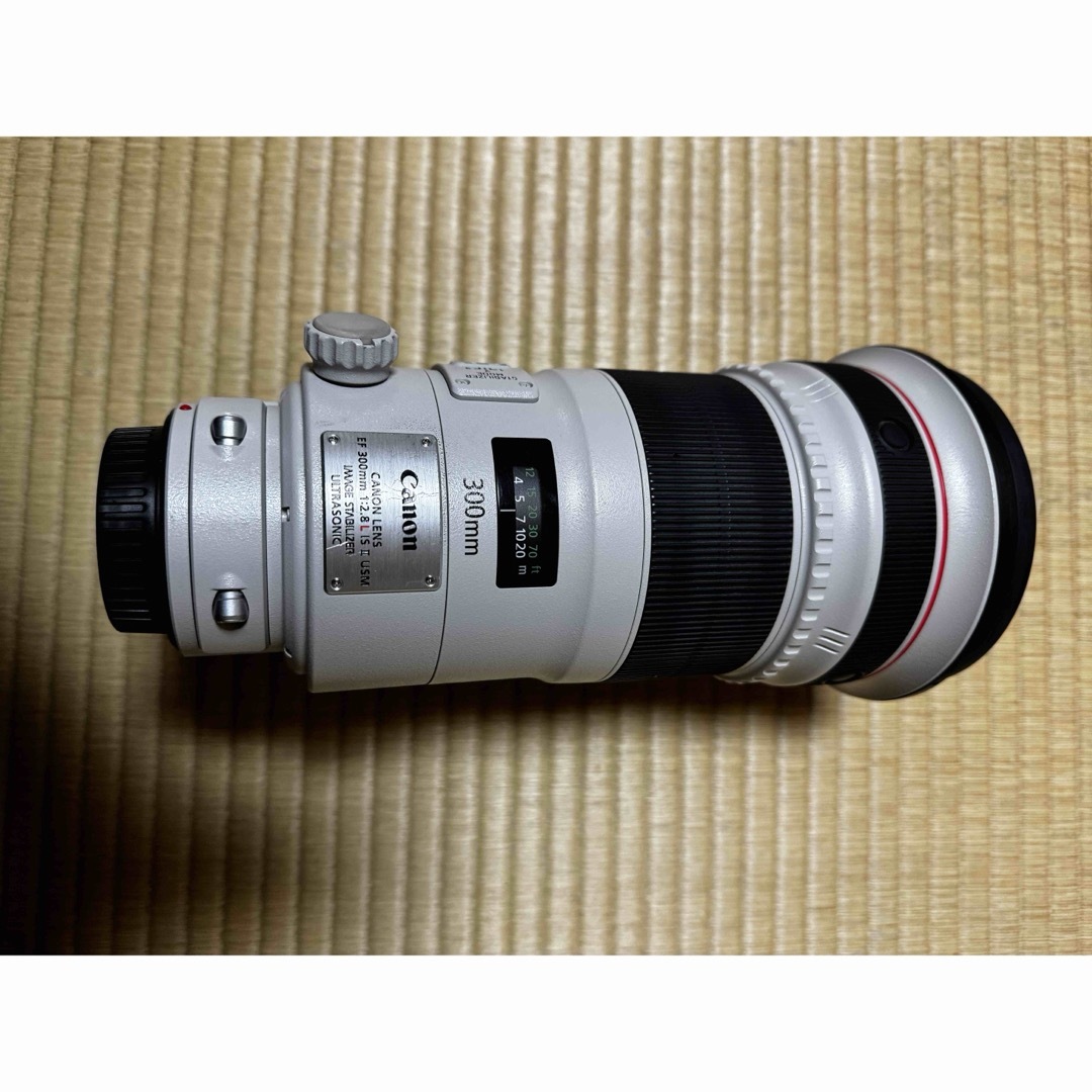 Canon(キヤノン)のキヤノン Canon EF 300mm F2.8 L IS II USM スマホ/家電/カメラのカメラ(レンズ(単焦点))の商品写真