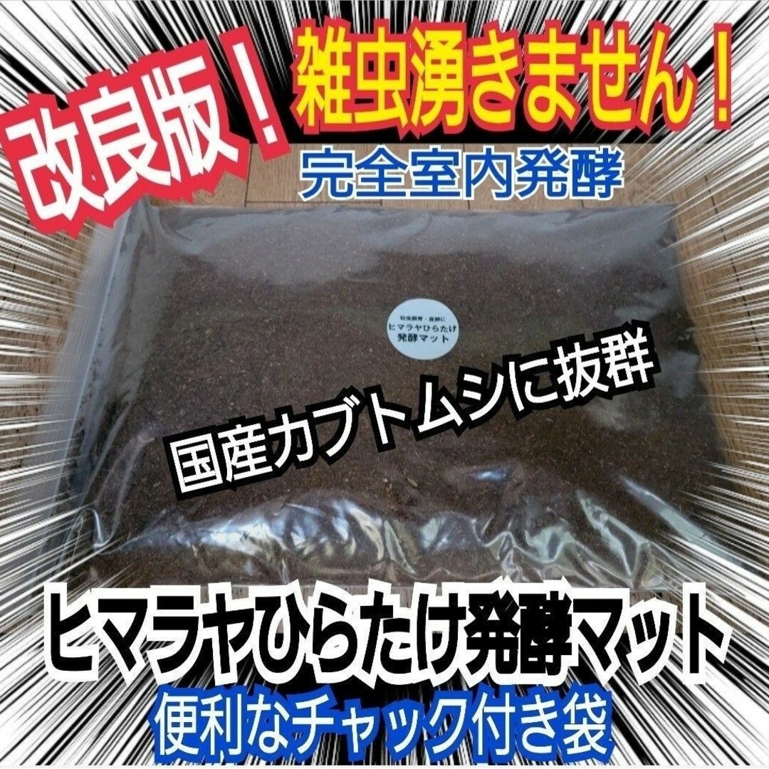 カブトムシ幼虫が大きくなる！改良版☆ヒマラヤひらたけ発酵マット　産卵にも抜群！ その他のペット用品(虫類)の商品写真