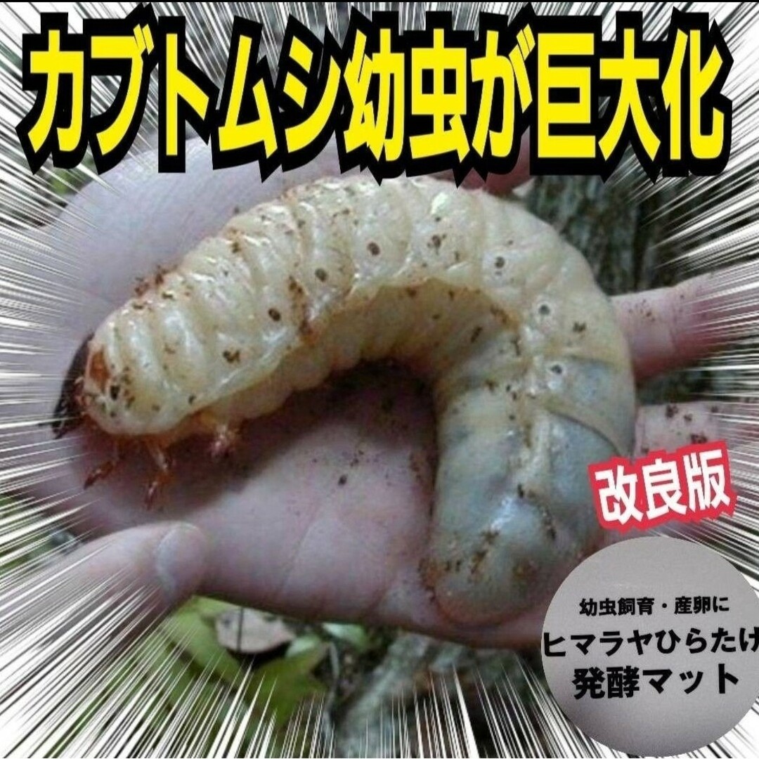 カブトムシ幼虫が大きくなる！改良版☆ヒマラヤひらたけ発酵マット　産卵にも抜群！ その他のペット用品(虫類)の商品写真