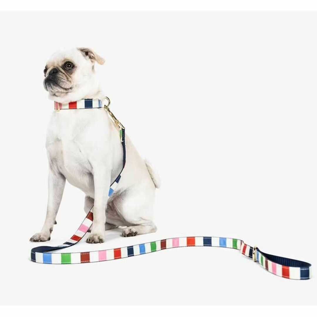 kate spade new york(ケイトスペードニューヨーク)の新着ケイトスペード　犬のリード　サイズS/M　ストライプ その他のペット用品(犬)の商品写真