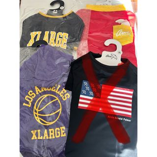 XLARGE - 犬服　XLARGE  Arnold Palmer  ４点セット