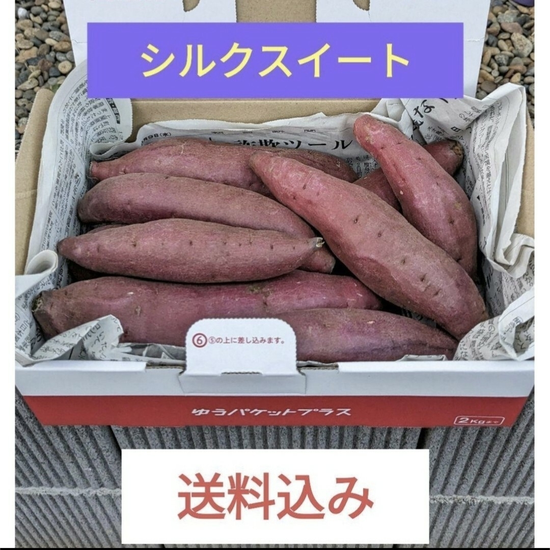 さつまいも　良品シルクスイート 食品/飲料/酒の食品(野菜)の商品写真