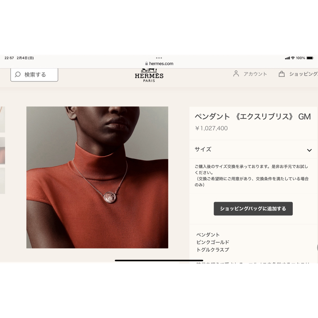 Hermes(エルメス)のエルメス　シェーヌダンクル パスレル　ネックレス レディースのアクセサリー(ネックレス)の商品写真