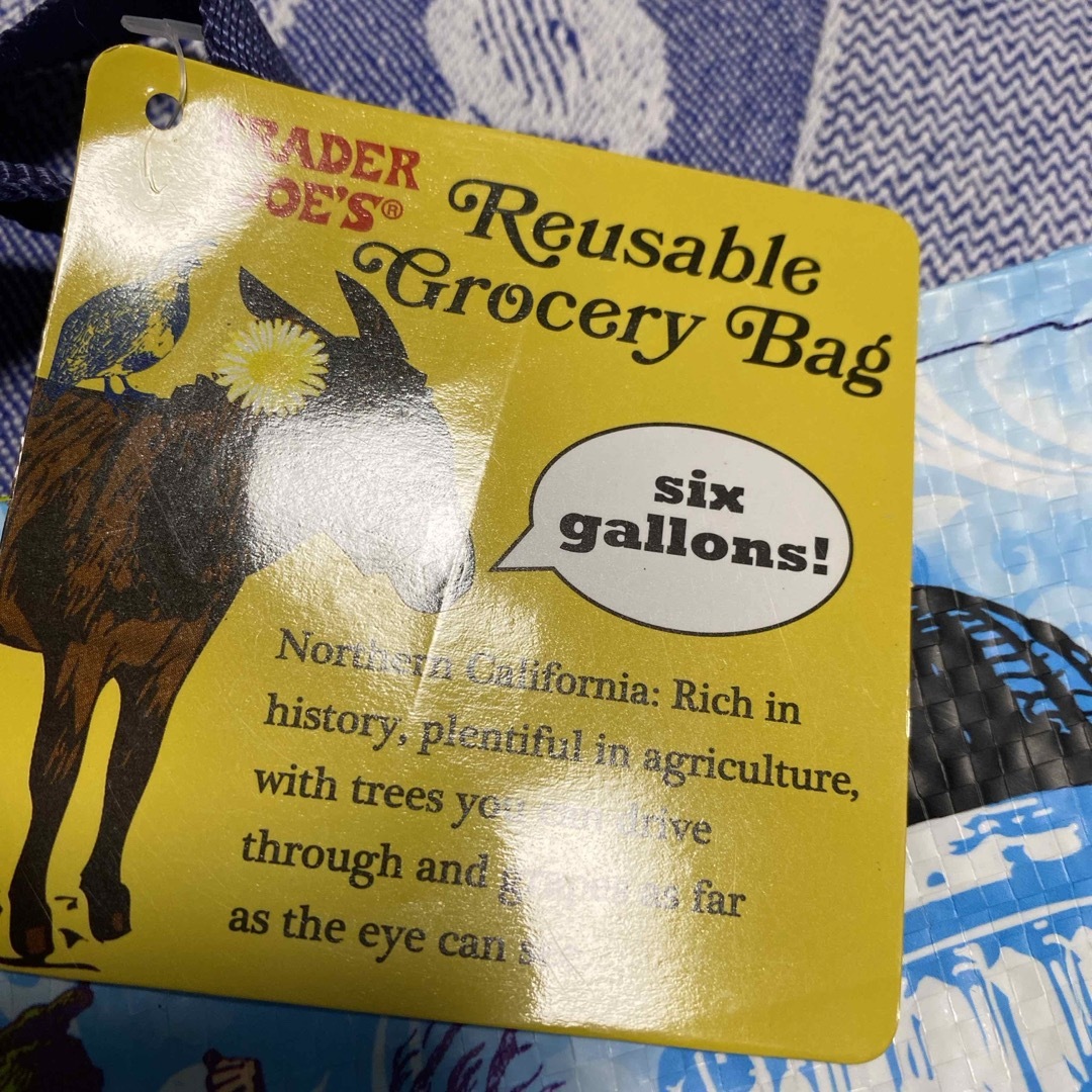 Trader Joe’s 100%Polypropylene Bag  レディースのバッグ(エコバッグ)の商品写真