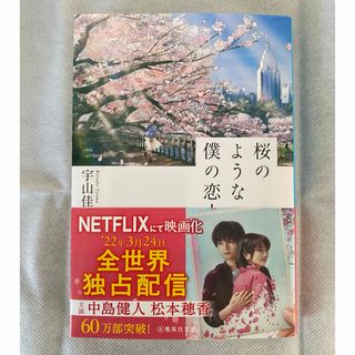 シュウエイシャ(集英社)の桜のような僕の恋人 小説(文学/小説)