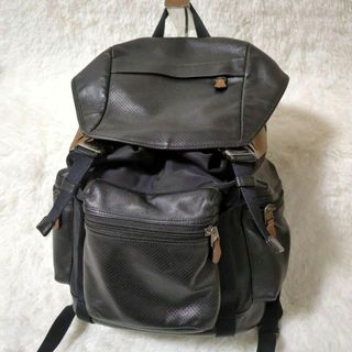 COACH - shimo様専用✨ COACH コーチ Trekpack リュックの通販 by