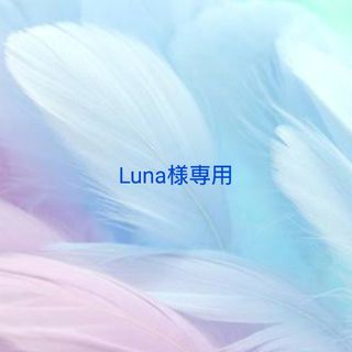 Luna様専用 天珠ブレスレット(ブレスレット/バングル)