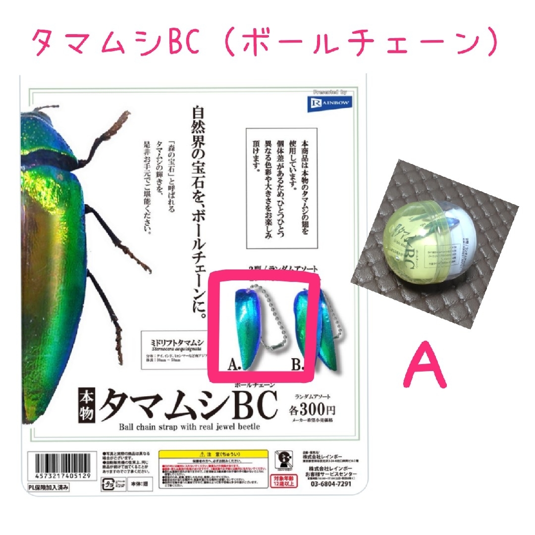 タマムシBC（ボールチェーン） エンタメ/ホビーのエンタメ その他(その他)の商品写真