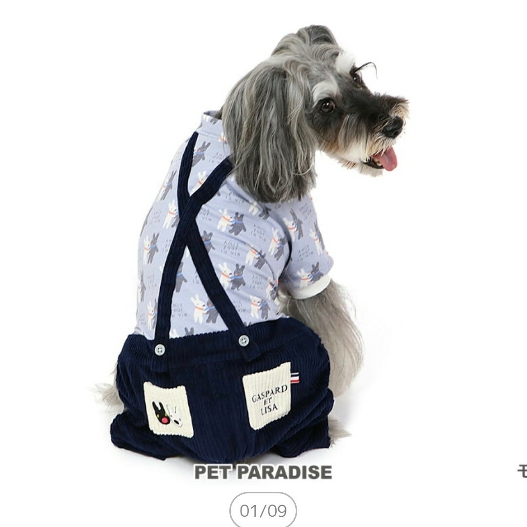 PET PARADISE(ペットパラダイス)のペットパラダイス　リサとガスパール　ロンパース　SSサイズ　新品 その他のペット用品(犬)の商品写真