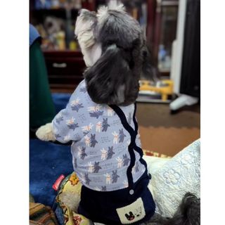 ペットパラダイス(PET PARADISE)のペットパラダイス　リサとガスパール　ロンパース　SSサイズ　新品(犬)