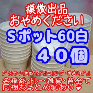 《Sポット60》白 40個 スリット鉢 プラ鉢 2号鉢相当 多肉植物 プレステラ(プランター)