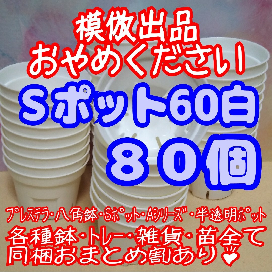 《Sポット60》白 80個 スリット鉢 プラ鉢 2号鉢相当 多肉植物 プレステラ ハンドメイドのフラワー/ガーデン(プランター)の商品写真