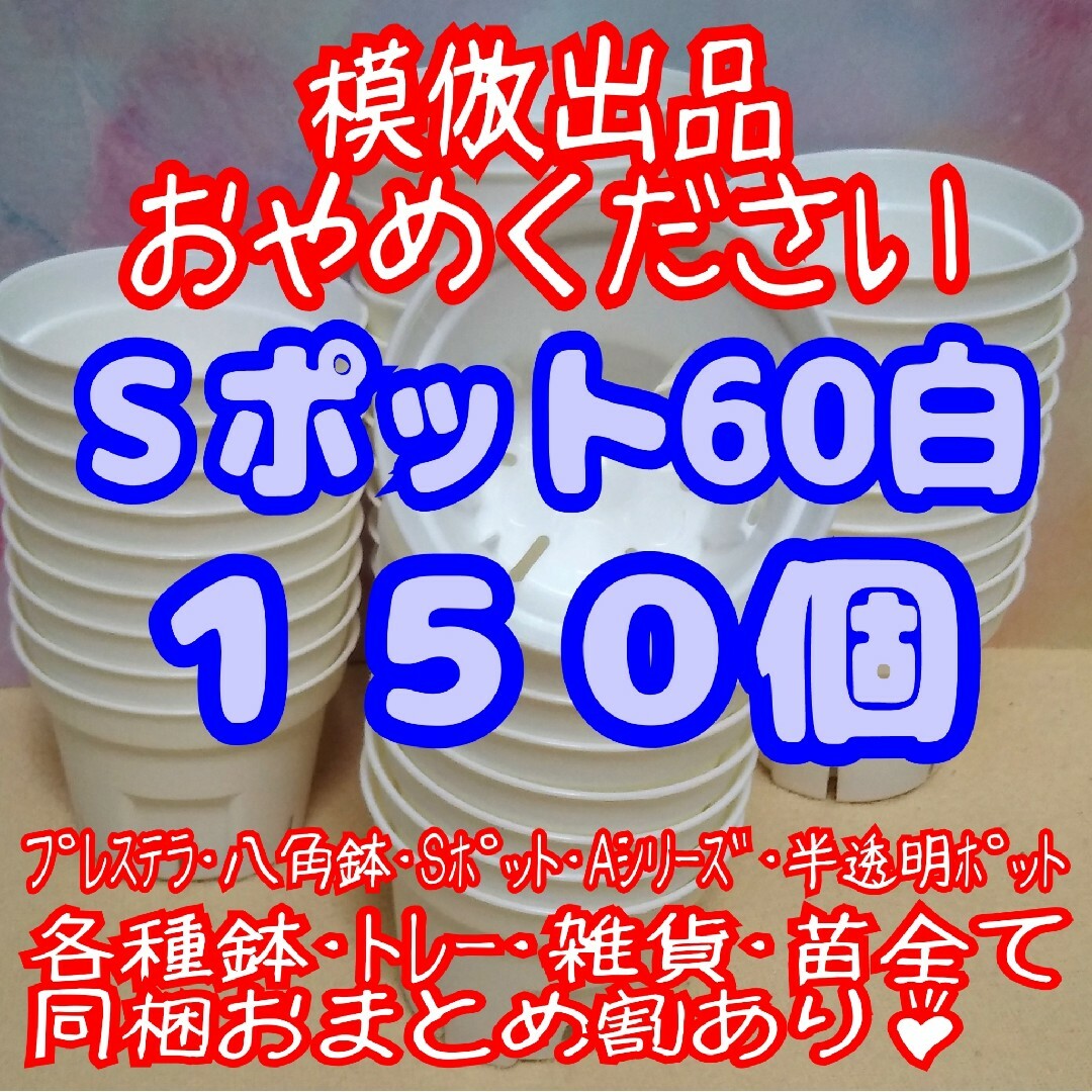 《Sポット60》白150個 スリット鉢 プラ鉢 2号鉢相当 多肉植物 プレステラ ハンドメイドのフラワー/ガーデン(プランター)の商品写真