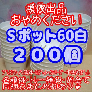 《Sポット60》白200個 スリット鉢 プラ鉢 2号鉢相当 多肉植物 プレステラ(プランター)