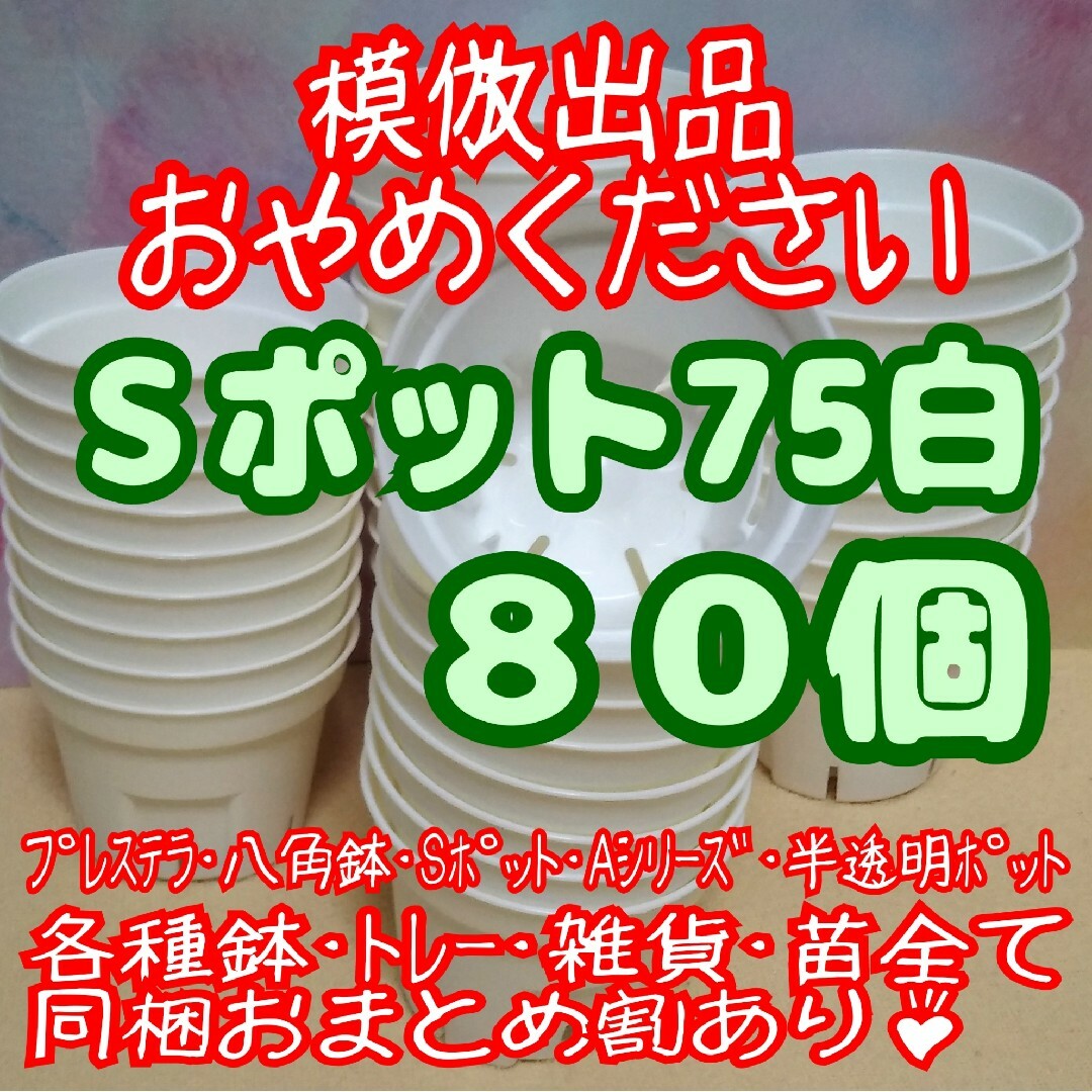 《Sポット75》白 80個 スリット鉢 プラ鉢2.5号鉢相当 多肉植物プレステラ ハンドメイドのフラワー/ガーデン(プランター)の商品写真