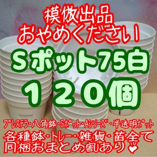 《Sポット75》白120個 スリット鉢 プラ鉢2.5号鉢相当 多肉植物プレステラ(プランター)