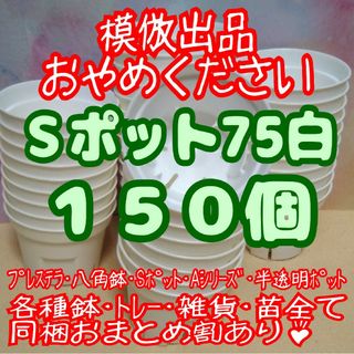 《Sポット75》白150個 スリット鉢 プラ鉢2.5号鉢相当 多肉植物プレステラ(プランター)