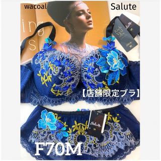 ワコール(Wacoal)の【新品タグ付】 ワコール／Salute★エジプト★Rich Veil☆F70M(ブラ&ショーツセット)