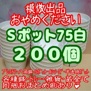 《Sポット75》白200個 スリット鉢 プラ鉢2.5号鉢相当 多肉植物プレステラ(プランター)