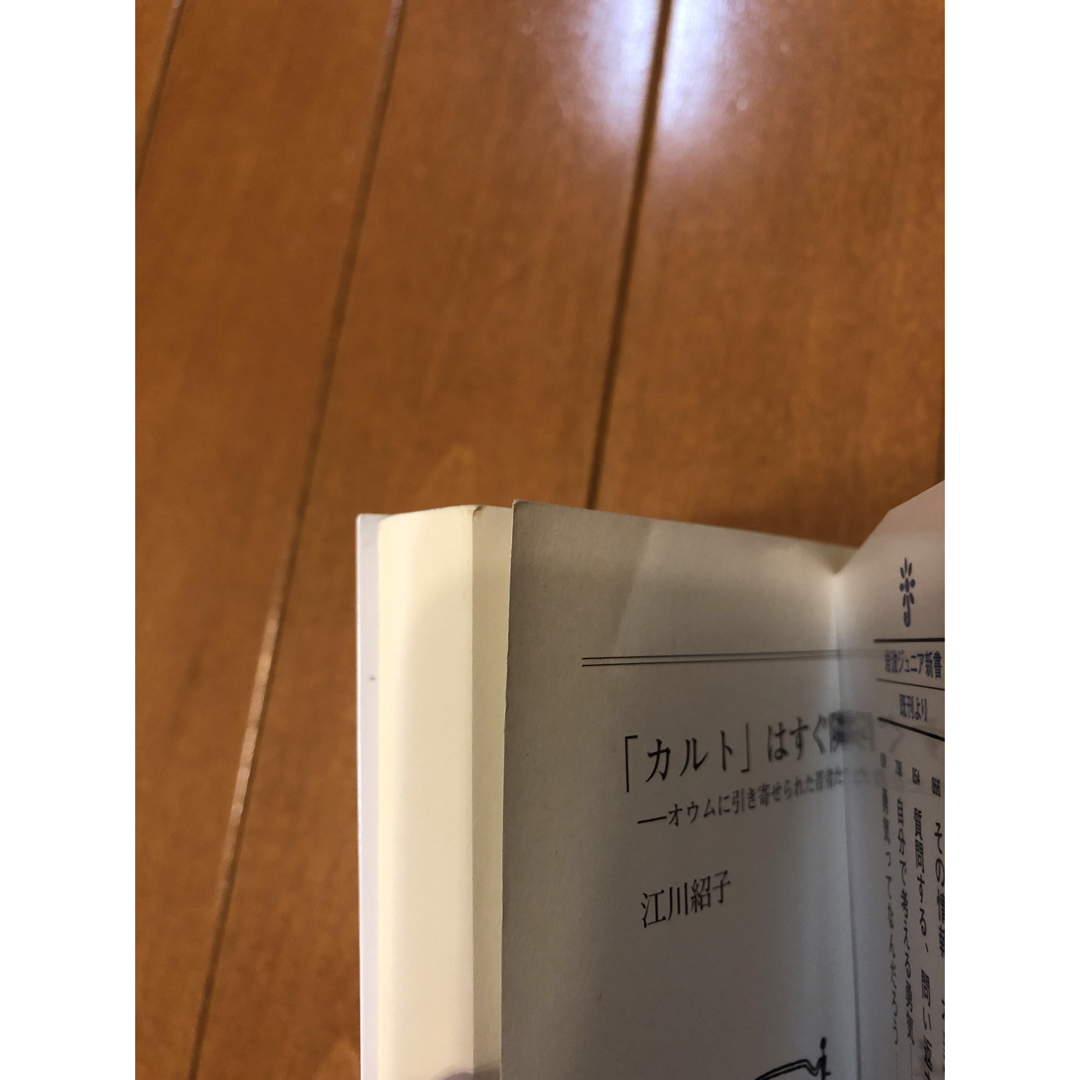 岩波書店(イワナミショテン)の「カルト」はすぐ隣に エンタメ/ホビーの本(その他)の商品写真