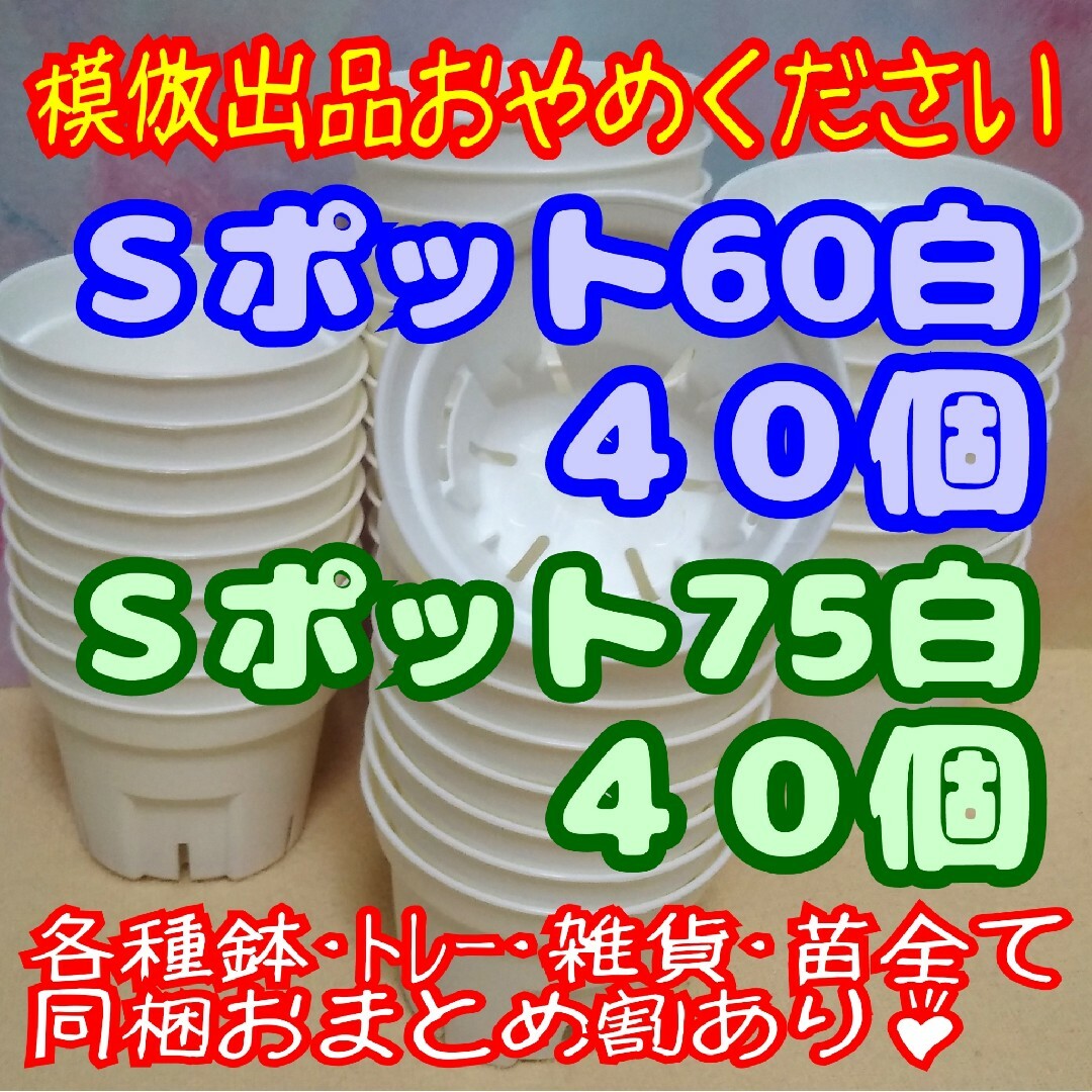 《Ｓポット60＆75》白各40個 プレステラ丸スリット鉢多肉植物 ハンドメイドのフラワー/ガーデン(プランター)の商品写真