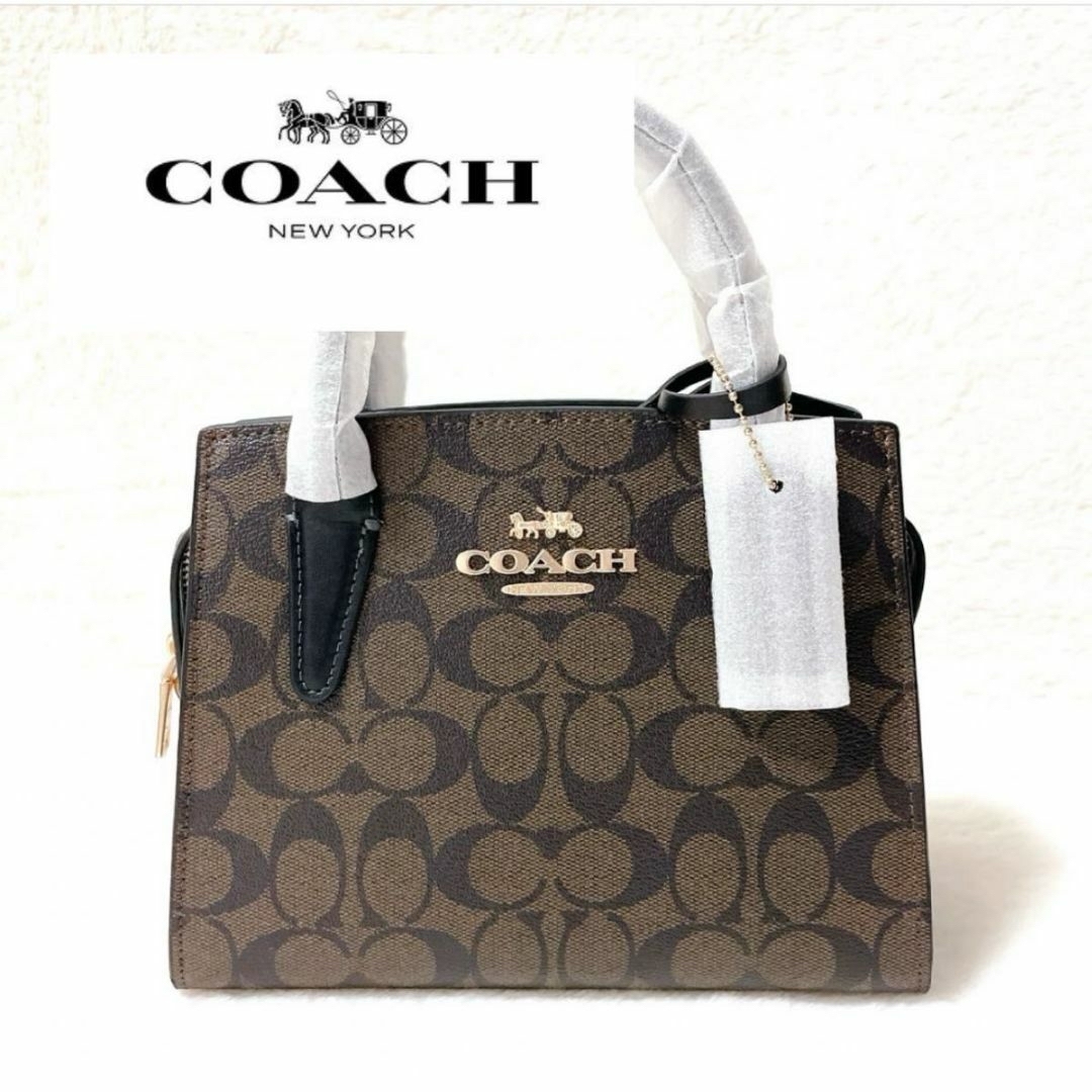 【24時間以内発送】COACH アンドレアキャリーオール ハンドバックハンドバッグ