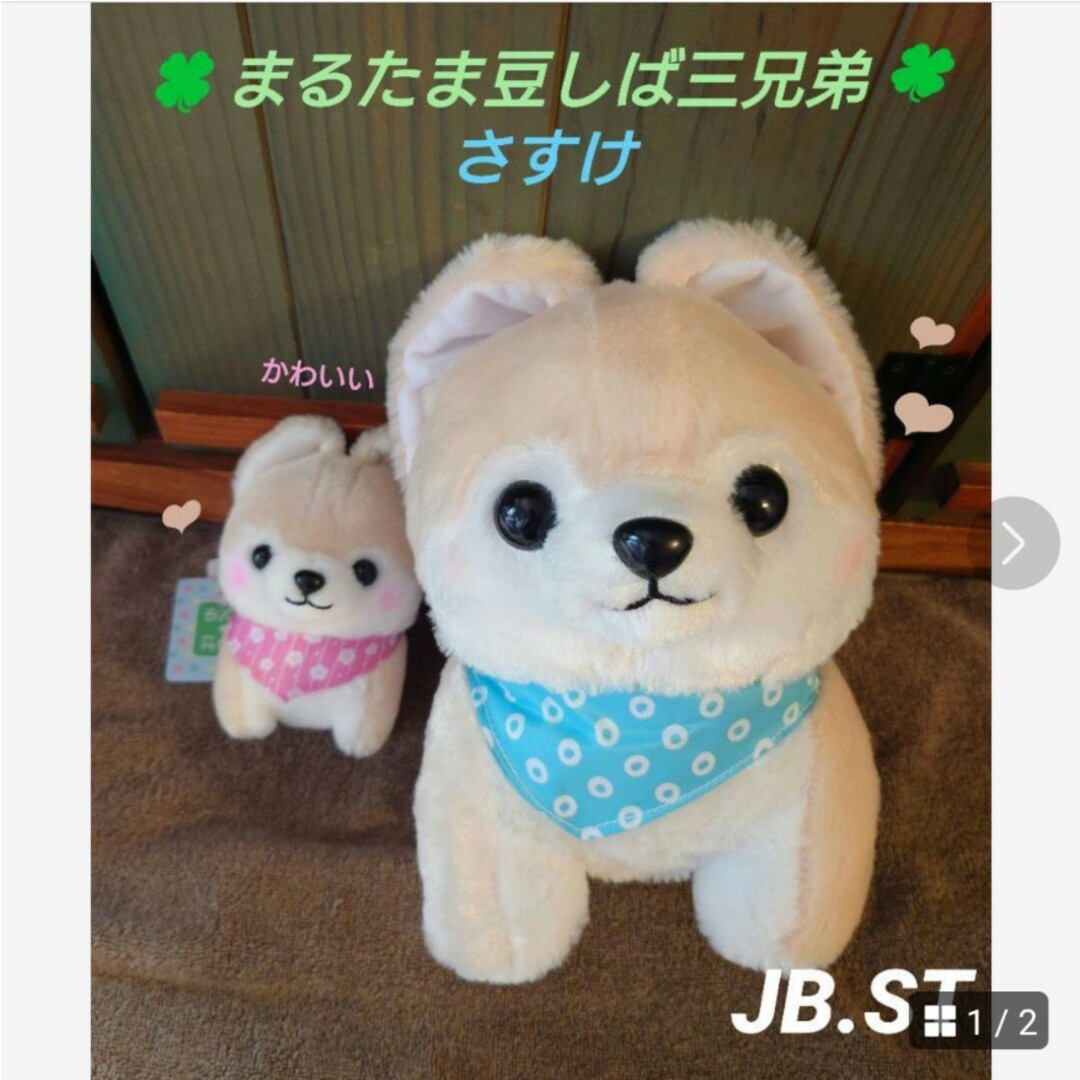 まるたま豆しば三兄弟  さすけ  JB、ST エンタメ/ホビーのおもちゃ/ぬいぐるみ(ぬいぐるみ)の商品写真