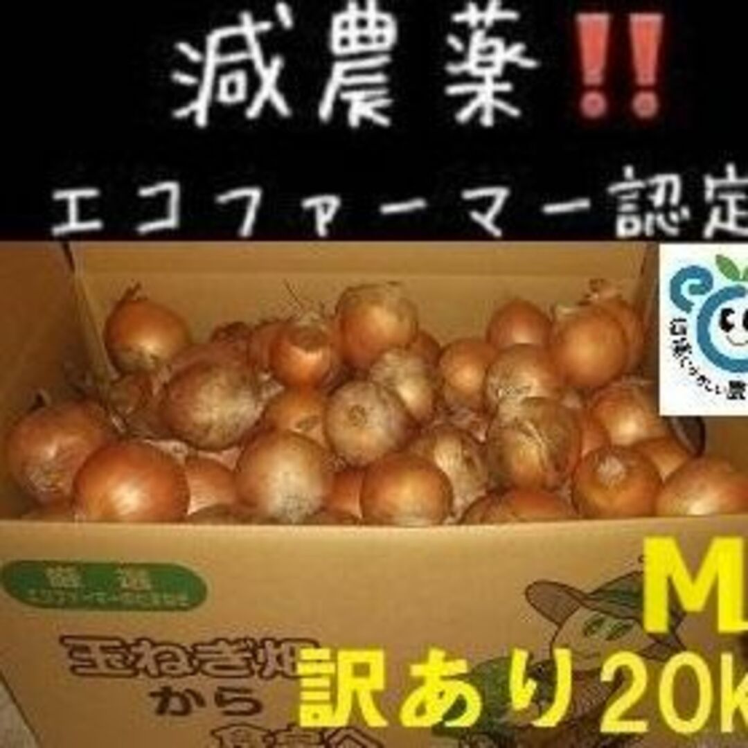 訳あり北海道産 玉ねぎ Mｻｲｽﾞ 20kg 食品/飲料/酒の食品(野菜)の商品写真