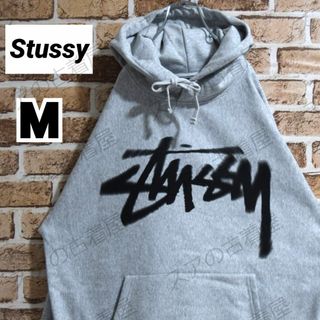 ステューシー(STUSSY)の《ステューシー》正規・新品タグ　DIZZYロゴ　グレー　M　パーカー(パーカー)