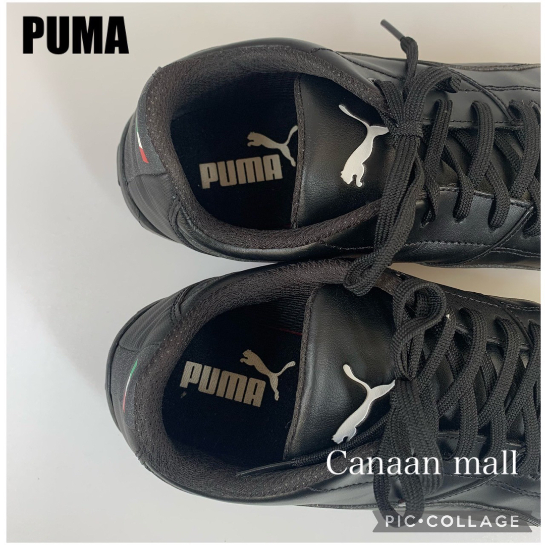 PUMA(プーマ)の【PUMA×フェラーリ 27.5cm】お買い得スニーカー メンズの靴/シューズ(スニーカー)の商品写真