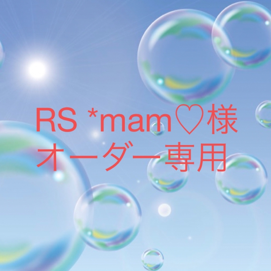 RS *mam♡様 オーダー専用 ハンドメイドのキッズ/ベビー(外出用品)の商品写真
