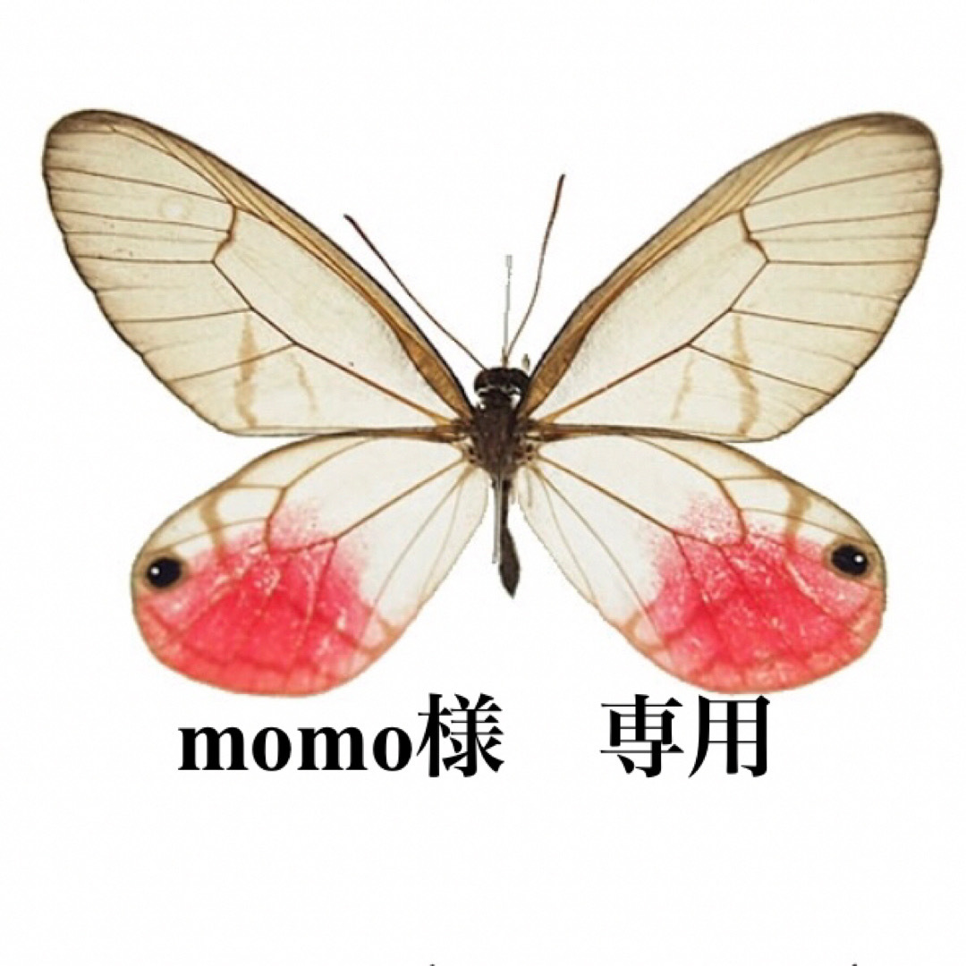 momo様　専用 エンタメ/ホビーのおもちゃ/ぬいぐるみ(その他)の商品写真