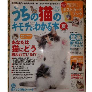 【ポストカード付】うちの猫のキモチがわかる本(猫)