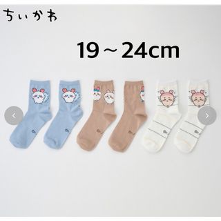 シマムラ(しまむら)の3足セット　ちいかわ　靴下　19～24cm(ソックス)