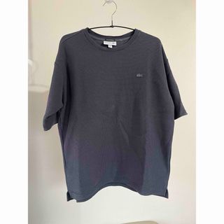 ラコステ(LACOSTE)のラコステ　LACOSTE  Tシャツ(Tシャツ/カットソー(半袖/袖なし))