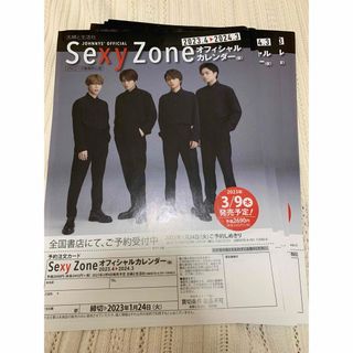 セクシー ゾーン(Sexy Zone)のセクゾ フライヤー(アイドルグッズ)