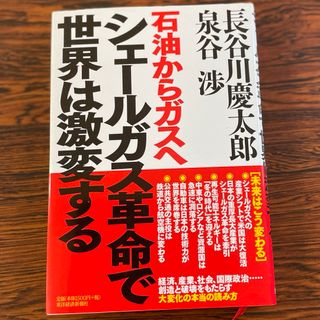 シェ－ルガス革命で世界は激変する(ビジネス/経済)