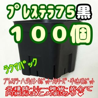 【スリット鉢】プレステラ75黒100個 多肉植物 プラ鉢-ラクマパック-(プランター)