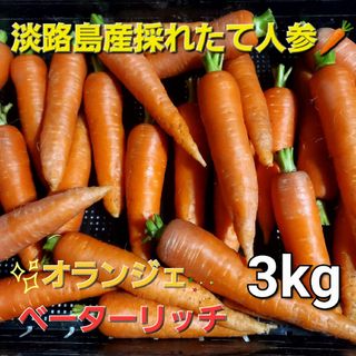 淡路島産採れたて人参🥕3kgプラスおまけ300g(野菜)