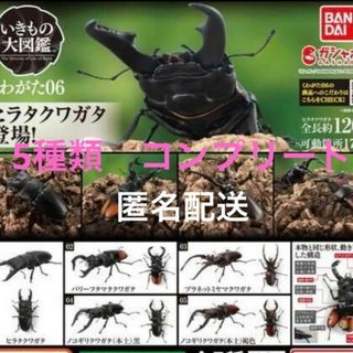 バンダイ(BANDAI)のいきもの大図鑑　くわがた06コンプリートセット(模型/プラモデル)