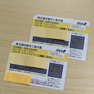 エーエヌエー(ゼンニッポンクウユ)(ANA(全日本空輸))のANA  株主優待券 ２枚(その他)