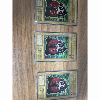 遊戯王　竜騎士ブラックマジシャンガール　絵違い　プリズマ　2枚セットトレーディングカード