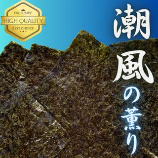 【有明海苔】初摘み焼き海苔　10枚×2袋(乾物)