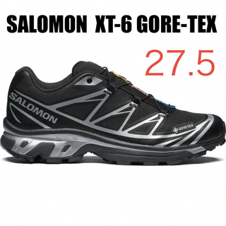 サロモン(SALOMON)のSALOMON サロモン XT-6 GORE-TEX ゴアテックス 27.5cm(スニーカー)