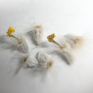 niko(*^^*)様専用の通販 by &FLOWER|ラクマ