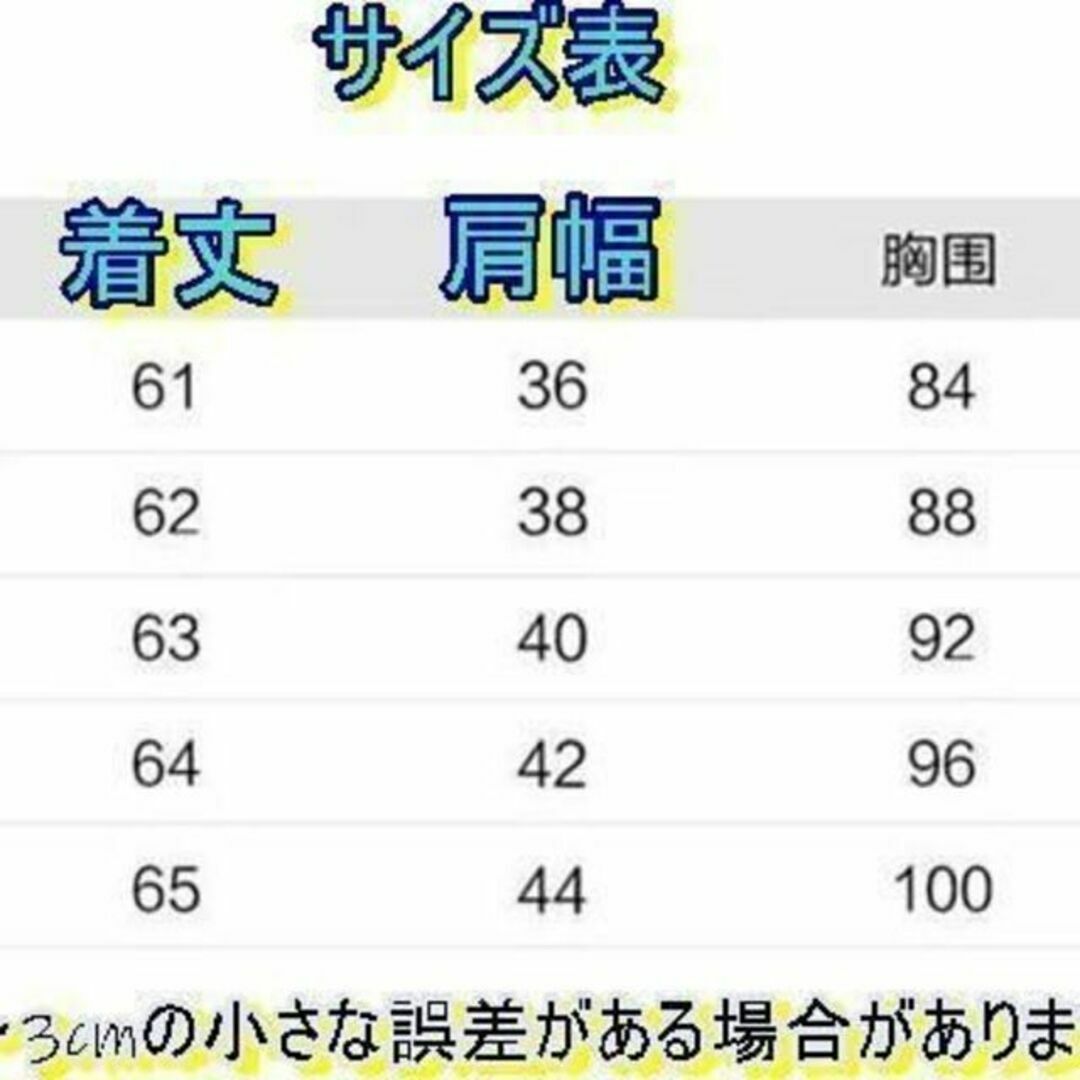 逆英文字ロゴがクール！タートルネックニット　オフ白♡韓国 インポート セーター レディースのトップス(ニット/セーター)の商品写真