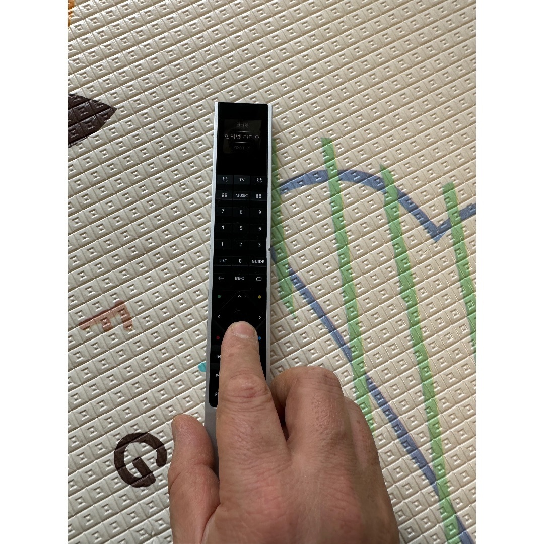 Bang & Olufsen リモコン