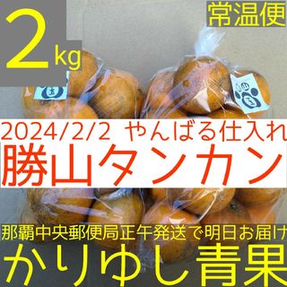 沖縄県産 勝山タンカン小玉S・2Sサイズ約２kg【常温便無料】2/2①(フルーツ)