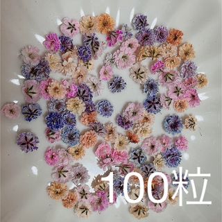 (02)かすみ草ドライフラワー100粒(ドライフラワー)