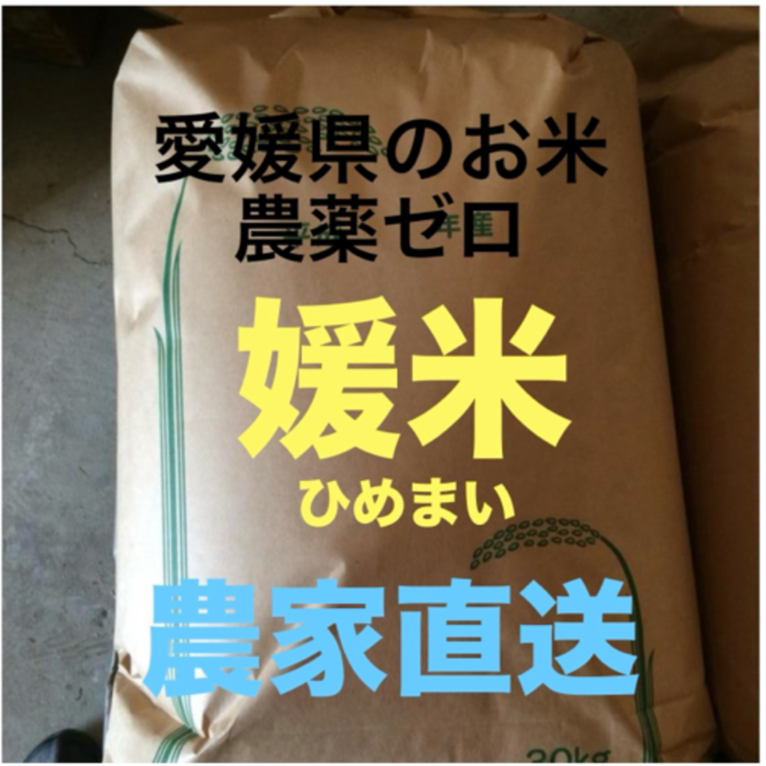 ヒロ様専用　無農薬　純こしひかり　25㎏ 玄米 食品/飲料/酒の食品(米/穀物)の商品写真